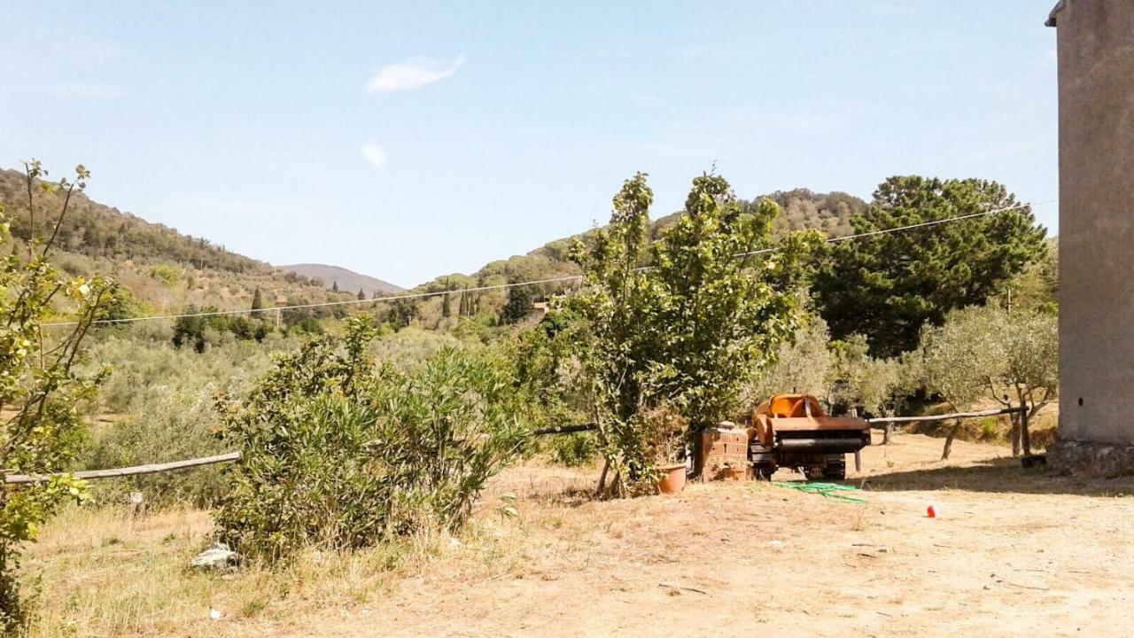 Apartamento Podere Barlo Campiglia Marittima Exterior foto