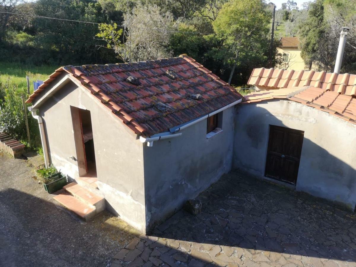 Apartamento Podere Barlo Campiglia Marittima Exterior foto